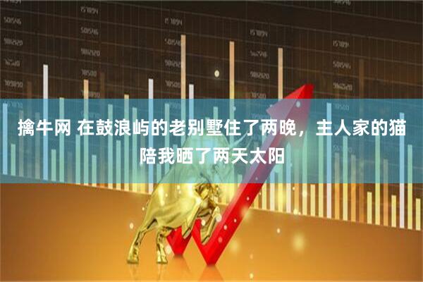 擒牛网 在鼓浪屿的老别墅住了两晚，主人家的猫陪我晒了两天太阳